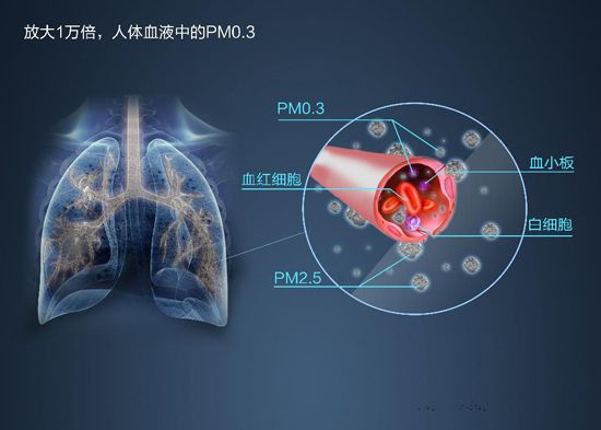 W020160902526230264641.jpg W020160902526230264641.jpg